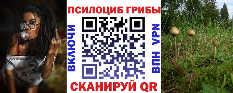 Купить где  Белоярский  Галлюциногенные грибы MAGIC MUSHROOMS 